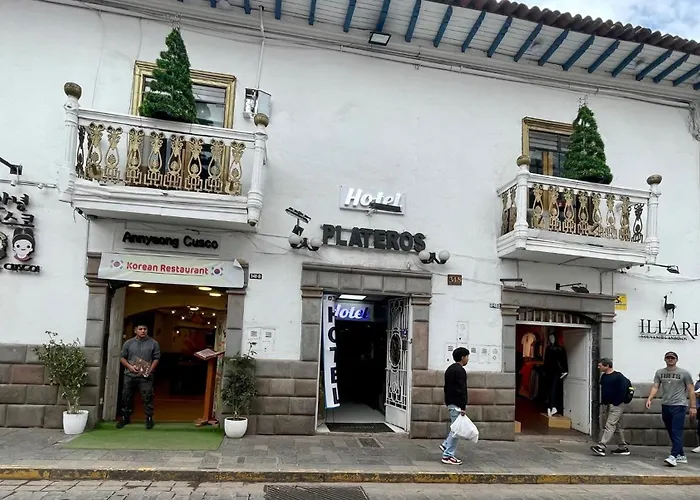 Hotel Plateros